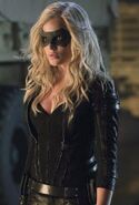 Caity Lotz (Jacqueline MacInnes Wood in season 1) as Sara Lance/The Canary/White Canary in Arrowverse shows (2012-2022).