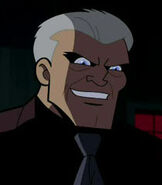 Peter Onorati as the voice of Joe Chill in Batman: The Brave and the Bold.