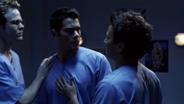 AsylumAllianceAsylum