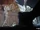 Second Hand White Baby Grand (Reprise)
