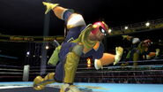 Profil Captain Falcon Ultimate 1