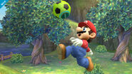 Mario SSB4 Profil 6