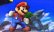 Mario SSB43DS