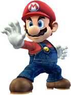 Super Smash Bros. Brawl