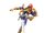 Captain Falcon