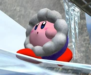 Kirby Melee Profil 9.jpg (20 kio)