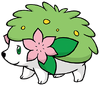 Art Shaymin PGL