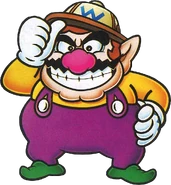 Wario Land: Super Mario Land 3