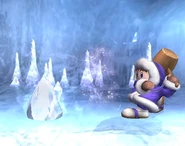 Ice Climbers attaques Brawl 3.jpg (31 kio)