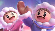 Profil Ice Climbers Ultimate 1