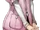 Haru Okumura