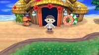 Tortiland ACNL