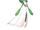 Gardevoir