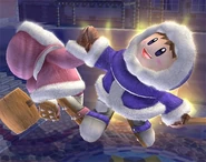 Ice Climbers Smash final Brawl 2.jpg (42 kio)
