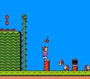 Des Maskass dans Super Mario Bros. 2