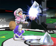 Ice Climbers Melee Profil 3