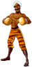 Art Great Tiger Wii