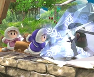 Ice Climbers Profil Brawl 2.jpg (51 kio)