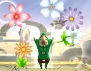 Tingle Brawl.jpg (41 kio)