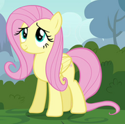 Fluttershy