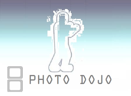 photo dojo info photo dojo info