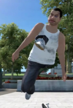 Skate 3, Skate Wiki