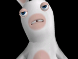 Rabbid