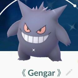 Defeated By A Mere Child — Gengar Shiny it looks identical to