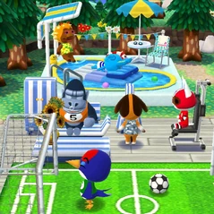Pocket Camp