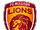 Bulleen Lions