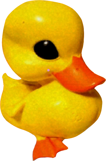 Rubber Duckie Value Pack from SmileMakers