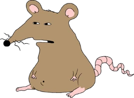 Sewer.rat