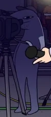 Mrfrogcameraman