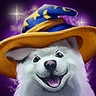 Wizard Doggo