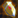 KnightsShield T2.png
