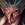 T Odin Knight Icon