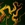 Icons Sylvanus A04.png