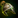 JadeMountainHelm T2.png