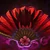 Icons Izanami Passive