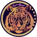 Orphan Squadlogo square