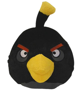 TalibanBird