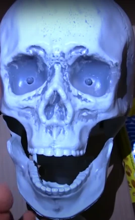 Human Skeleton (Current)