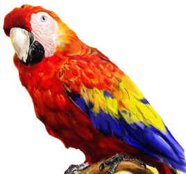 PollyTheParrotRemastered