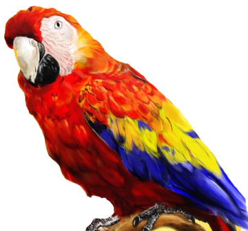 The parrot store