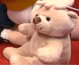 Stuffed Animal