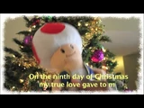 12 Days of Christmas