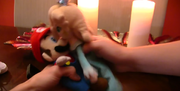 Mario x Rosalina