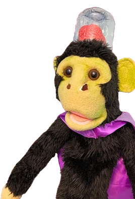 Mojo Jojo