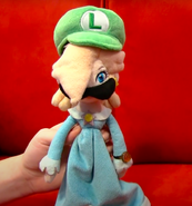 Luigi