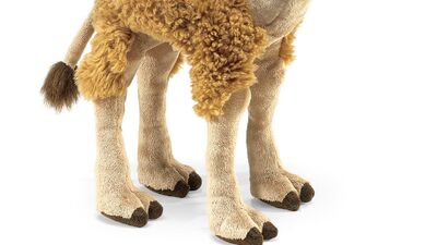 Hump day stuffed camel new arrivals